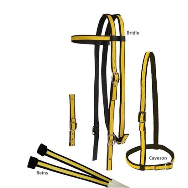 Jacks Jacks 453-BK-TU Two Tone Race Bridle Set; Black & Turquoise 453-BK-TU - main